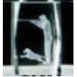 3D Hunting Optical Crystal Award (2"x2"x3")
