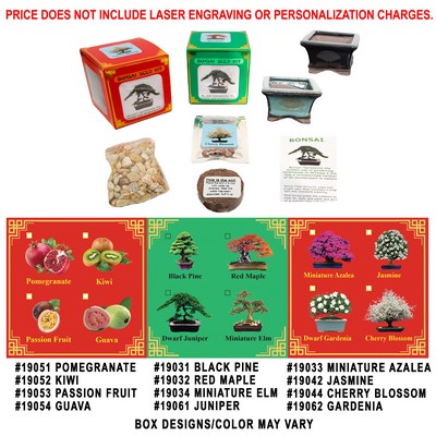 Pomegranate Bonsai Seed Kit