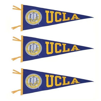 24 x 9 Large Pennant Flag